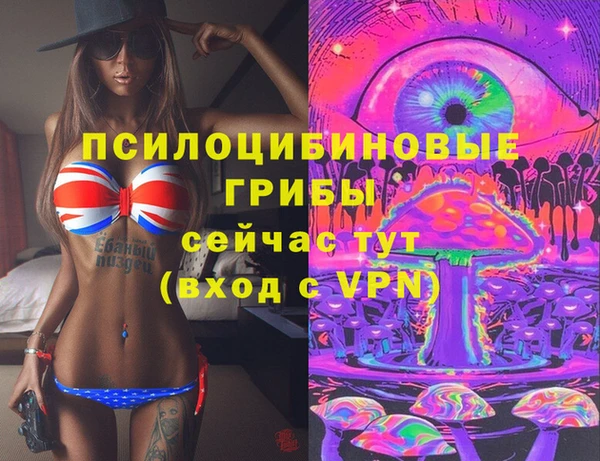мяу мяу мука Нязепетровск