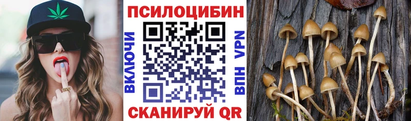 Псилоцибиновые грибы ЛСД  Купить закладки  Кызыл 